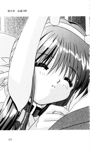 Kanon v3 221.jpg
