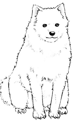 KinoNoTabi-Volume-1-Chapter-4-2.png