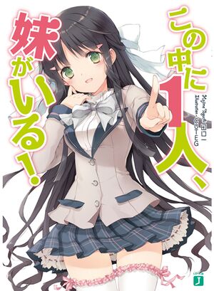 What I Learned From Writing A Trashy Imouto Light Novel –