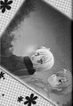 Thumbnail for version as of 23:51, 3 March 2012