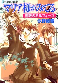 MM v21 cover.jpg