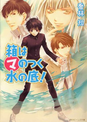 MaruMAnovel13Cover.jpg