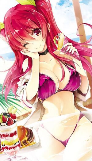 Rakudai V13 Cover.jpg