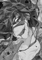 Thumbnail for version as of 17:28, 16 April 2018
