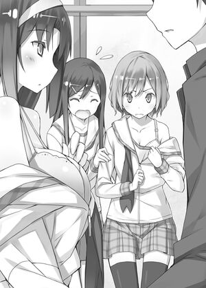 Rokujouma No Shinryakusha V14 Illustration 2.jpg