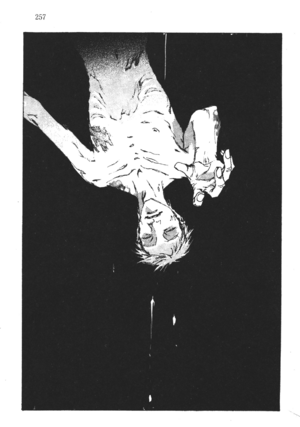 SSO Volume 15 257.png