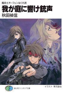 SSO Volume 17 cover.jpg