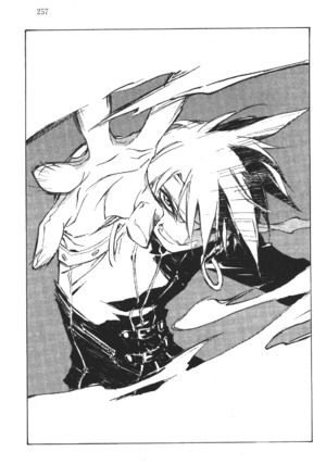 SSO Volume 18 257.png