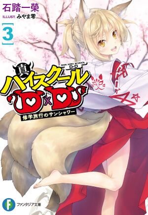 Shin High School DxD Vol 3 capa.jpg