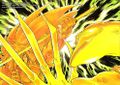 Thumbnail for version as of 21:48, 20 June 2012