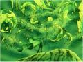 Thumbnail for version as of 17:54, 8 March 2011