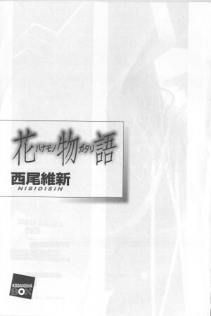 Suruga-001 s.jpg