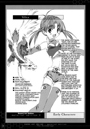 Sword Art Online ME02 031.jpg