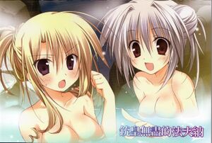 Unlimited Fafnir v03 Toranoana SS pic1.jpg