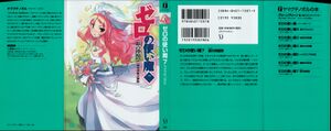 ZnT07-001.jpg